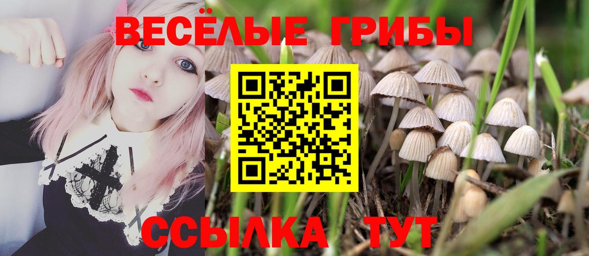 Псилоцибиновые грибы Magic Shrooms Киржач