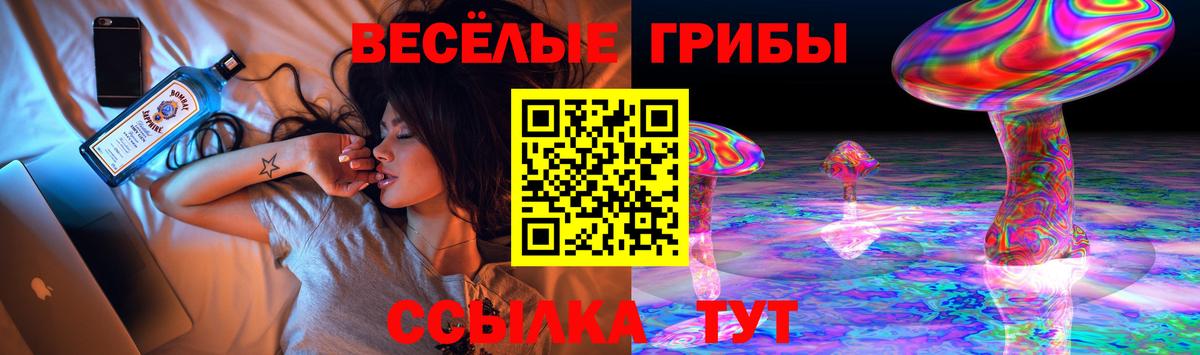 Галлюциногенные грибы ЛСД  Псилоцибиновые грибы Psilocybe  Вход с VPN  Киржач 